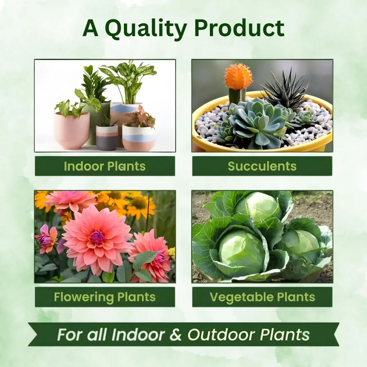 Magic Plant Food Sticks for Indoor & Outdoor Plants | Slow-Release Fertilizer for Healthy Growth, Green Leaves, Strong Roots & Better Flowering