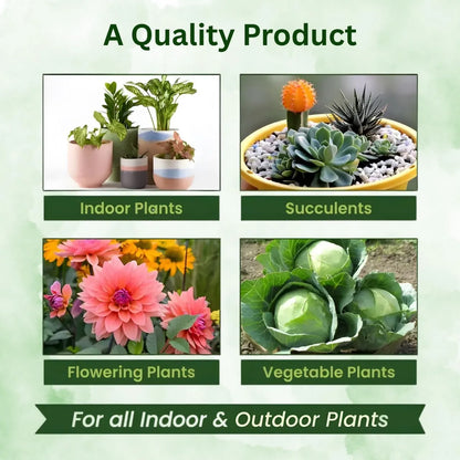 Magic Plant Food Sticks for Indoor & Outdoor Plants | Slow-Release Fertilizer for Healthy Growth, Green Leaves, Strong Roots & Better Flowering