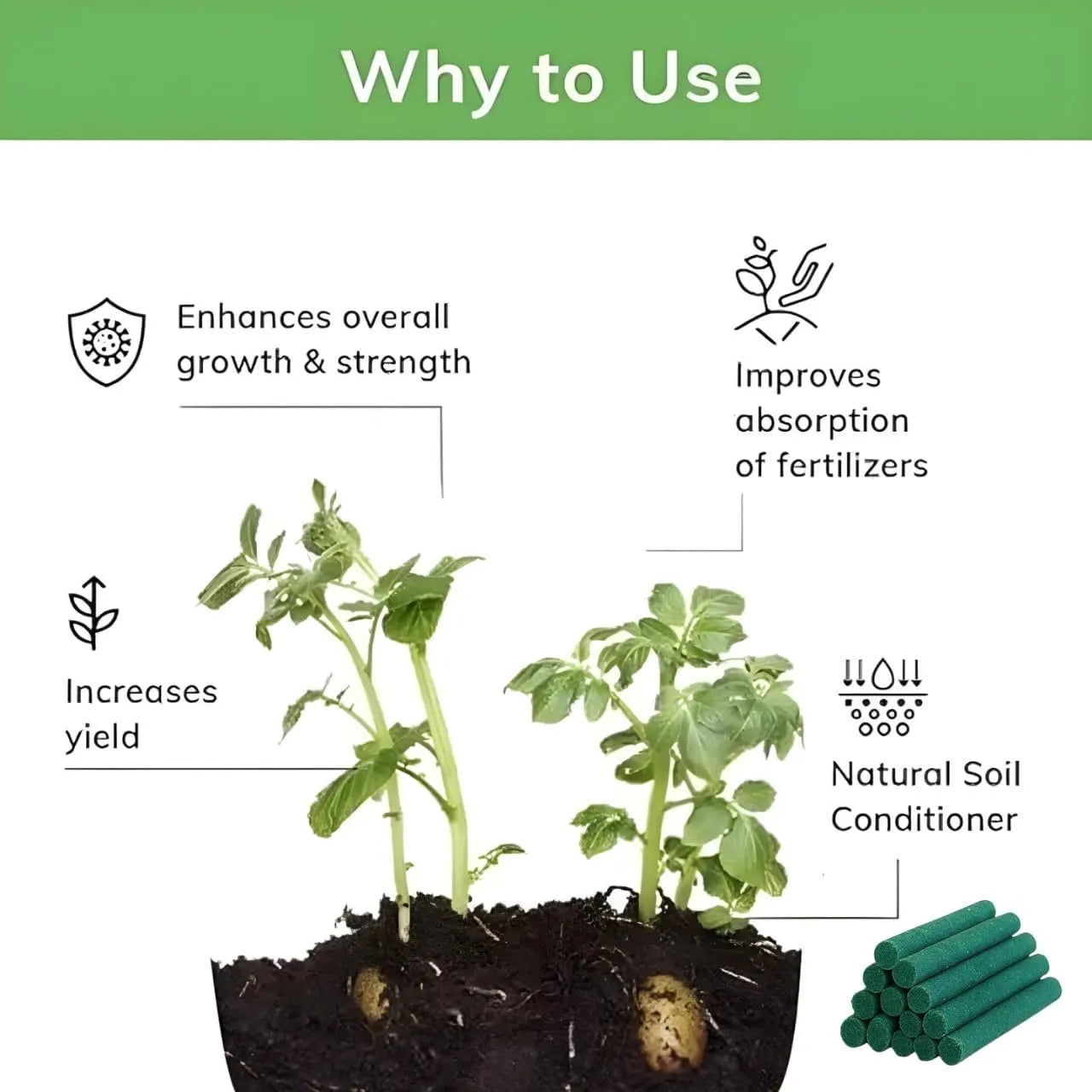 Magic Plant Food Sticks for Indoor & Outdoor Plants | Slow-Release Fertilizer for Healthy Growth, Green Leaves, Strong Roots & Better Flowering