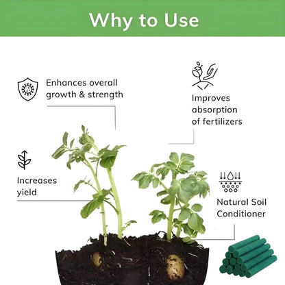 Magic Plant Food Sticks for Indoor & Outdoor Plants | Slow-Release Fertilizer for Healthy Growth, Green Leaves, Strong Roots & Better Flowering