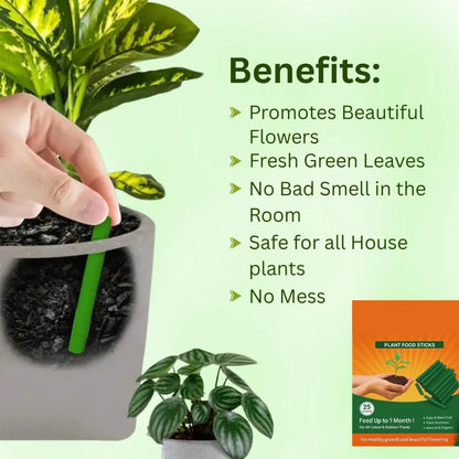 Magic Plant Food Sticks for Indoor & Outdoor Plants | Slow-Release Fertilizer for Healthy Growth, Green Leaves, Strong Roots & Better Flowering